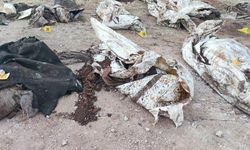 Afrin'de terör örgütü vahşeti! 35 sivilin cansız bedeni bulundu...