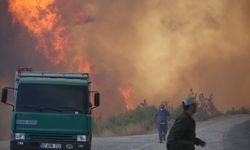 Orman yangınlarına ilişkin STK'lardan ortak açıklama: Devletimizin ve milletimizin yanındayız