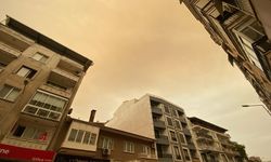 Orman yangınlarının dumanı İzmir'de gözyüzünü kapladı