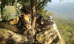 Pençe-Şimşek operasyonu bölgesinde 2 PKK'lı terörist etkisiz hale getirildi