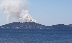 Heybeliada'da ormanlık alanda yangın