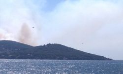 İstanbul Valiliği: 4 uçak, 5 helikopter yangına sevk edildi