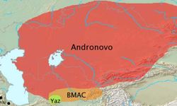 Andronovo kültürü nedir? Nerede yaşanmıştır?