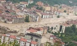 Sel felaketi sonrası Bozkurt kaymakamının yeri değiştirildi