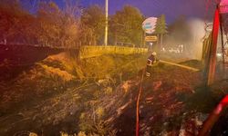 Diyarbakır'da ormanlık alanı ateşe veren 3 kişi yakalandı
