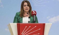 CHP Genel Başkan Yardımcısı Gülizar Biçer Karaca'dan FETÖ'ye can simidi!