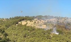 Antalya'nın Kaş ilçesinde orman yangını çıktı