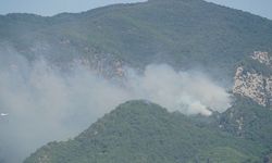 Kazdağları'nda orman yangını! Helikopter ve yangın söndürme uçaklarıyla müdahale ediliyor