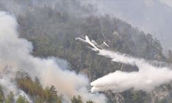 Muğla'da çıkan 5 yangına havadan ve karadan müdahale devam ediyor