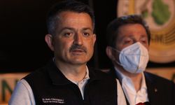 'Antalya ve Çanakkale'deki yangınlar kontrol altına alındı'