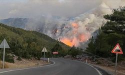 5 İlde Alevlerle mücadele sürüyor