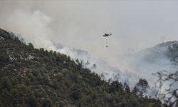 OGM: 208 orman yangınından 196'sı kontrol altına alındı