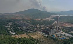 Milas'taki Yeniköy Termik Santrali'nde yangına karşı tedbir alındı