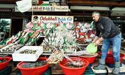 İstanbul'da av sezonunun bereketli başlaması balık fiyatlarına da yansıdı