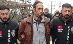 Palu Ailesi Davası'nda karar verildi! İşte detaylar...