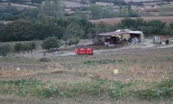 Mavi dil salgını nedeniyle Edirne'de 8 köy karantinaya alındı