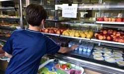 Fransa'da ilkokul öğrencisi yemekhane borcu yüzünden eve polisle gönderildi