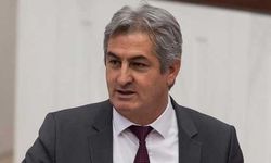 HDP'li isimden alçak sözler: Orta Asyalı işgalci, istilacı devşirme göçmen
