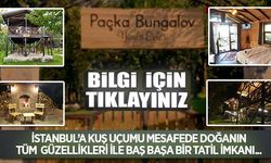 İstanbul'a kuş uçumu mesafede harika bir tatil merkezi: Packa Bungalov Yayla Evleri