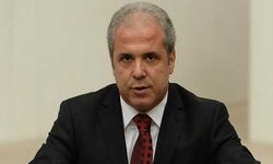 Şamil Tayyar'dan iki zincir marketin yöneticilerine tepki: Rantta zirve yaptınız!