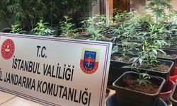 İstanbul'da jandarmadan uyuşturucu operasyonu