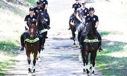 İstanbul'un orman ve sahilleri atlı polislere emanet