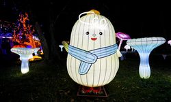 Virginia'da LuminoCity Festivali