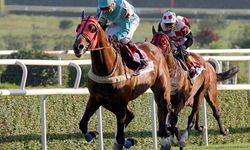 Tarihte Triple Crown sahibi atlar!