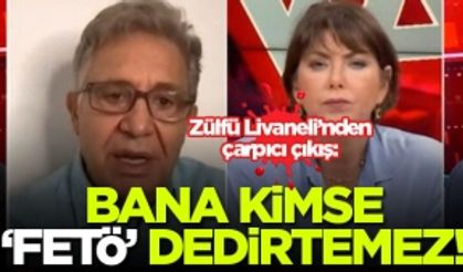 Zülfü Livaneli: Kimse bana ‘FETÖ’ dedirtemez