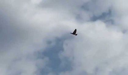 Ağrılı gençlerin geliştirdiği 'Kanat Çırpan İHA' alkış topladı