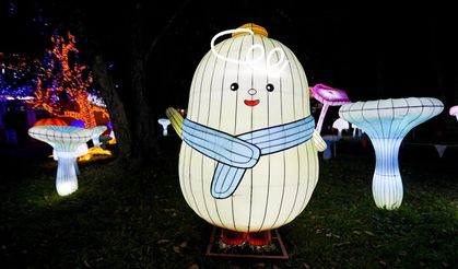 Virginia'da LuminoCity Festivali