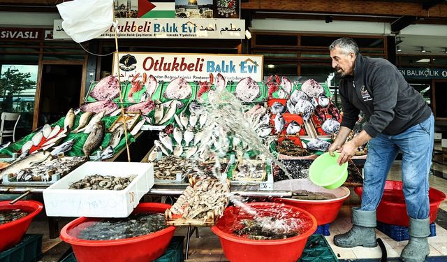 İstanbul'da av sezonunun bereketli başlaması balık fiyatlarına da yansıdı