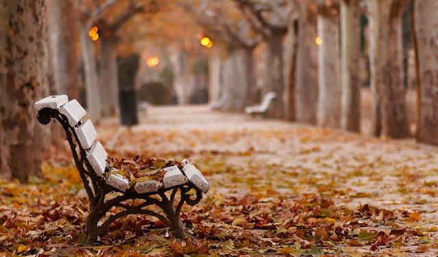 Uzmanlardan "sonbahar depresyonu" uyarısı