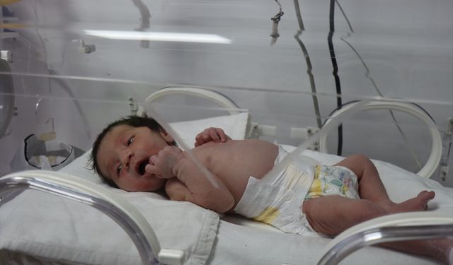 Mezarlıkta toprağa yarı gömülü bulunan bebek koruma altına alındı