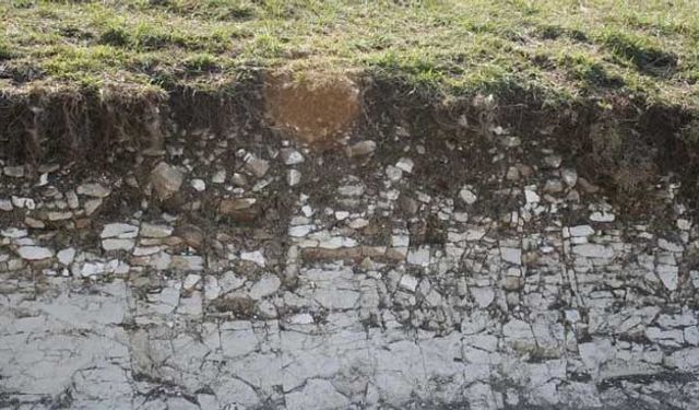 İntrazonal topraklar nedir? Özellikleri nelerdir?