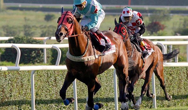 Tarihte Triple Crown sahibi atlar!