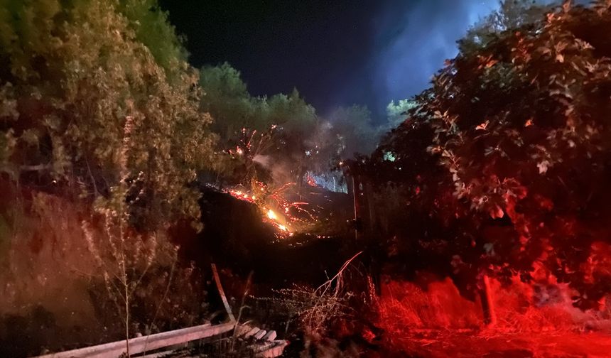 Kahramanmaraş'ta ormanlık alanda çıkan yangın söndürüldü