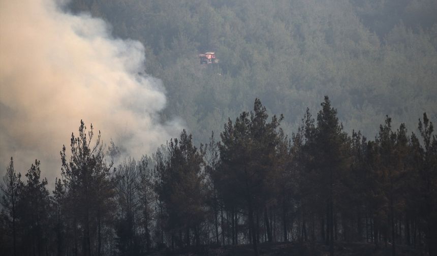 Osmaniye'de çıkan orman yangınına müdahale sürüyor
