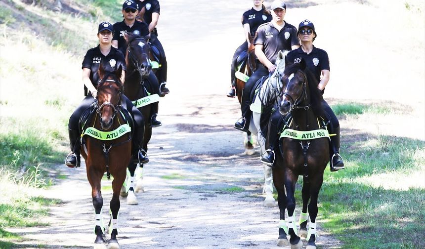 İstanbul'un orman ve sahilleri atlı polislere emanet