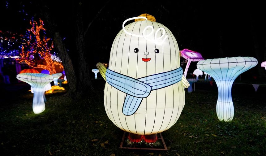 Virginia'da LuminoCity Festivali