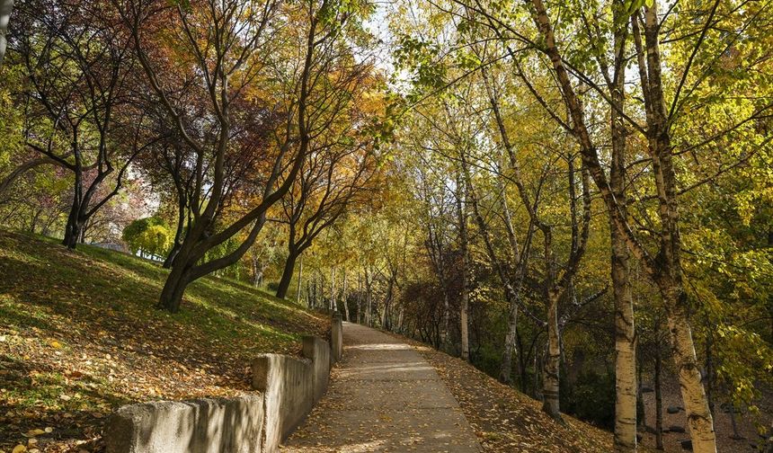 Ankara'da sonbahar