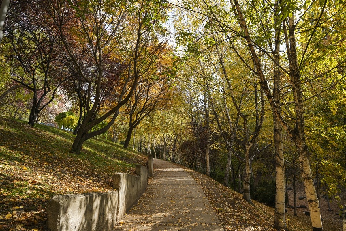 Ankara'da sonbahar